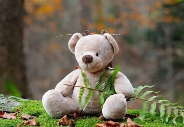 Comment choisir un jouet pour enfant ?