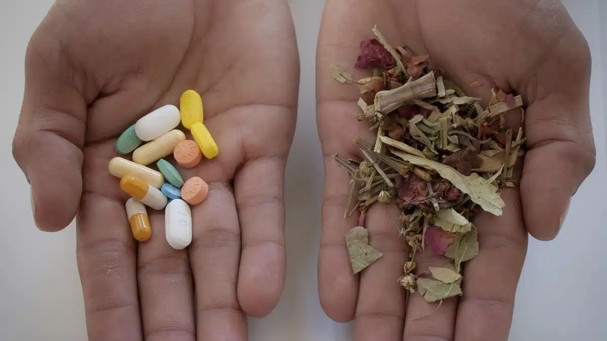 médicaments à base de plantes